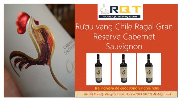 rượu vang chile