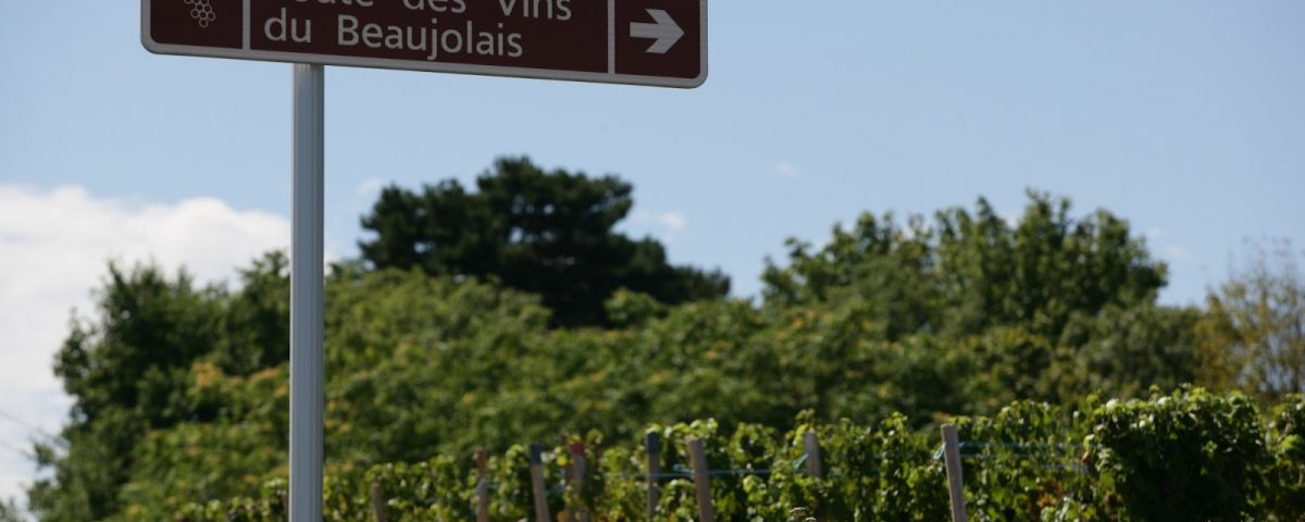 Gioi-thieu-ve-ruou-vang-do-Beaujolais-cua-vung-Burgundy-1200x480-1